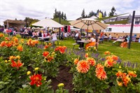 Annual Dahlia Festival
