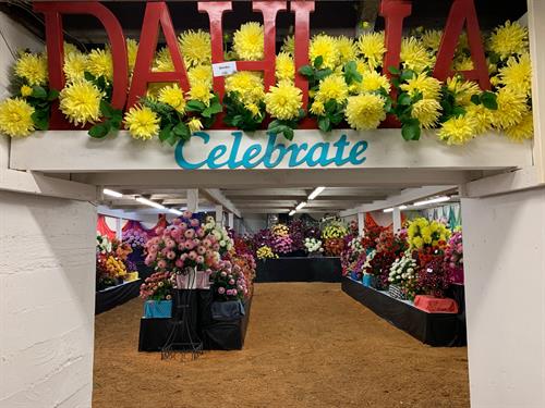 2019 Annual Dahlia Festival, Indoor Display
