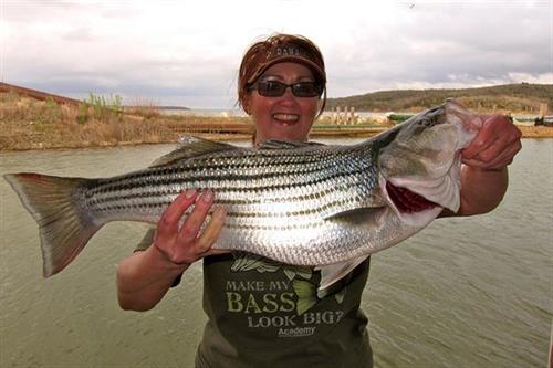 YES! Your shirt DOES make your bass look big!