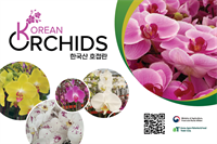 Gimga Group Management, Korean Orchids Festival