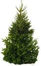 Annual Christmas Tree Sale Fund Raiser