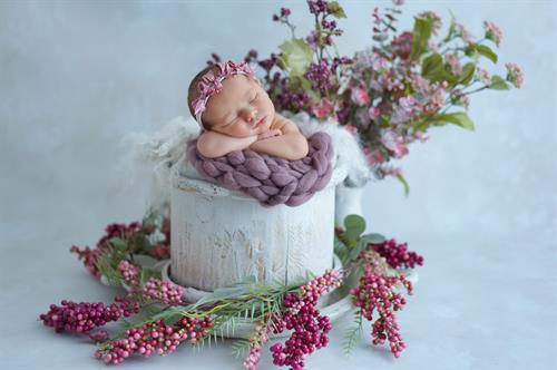 Creative Newborn Photography with Flowers – Washington DC