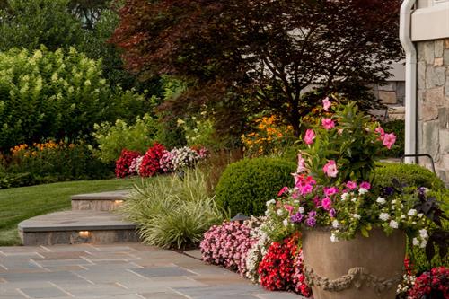 Gallery Image Colorful_Plantings_Zaccaria(2).jpg