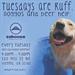 Ruff Tuesdays (Pups on the Patio Happy Hour) at Caboose Brewing