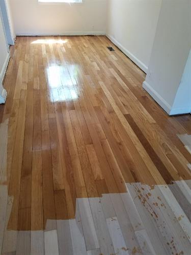 Unfinished hardwood with polly