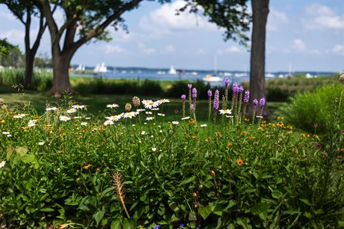 Gallery Image Gallery_IMG_0762.jpg