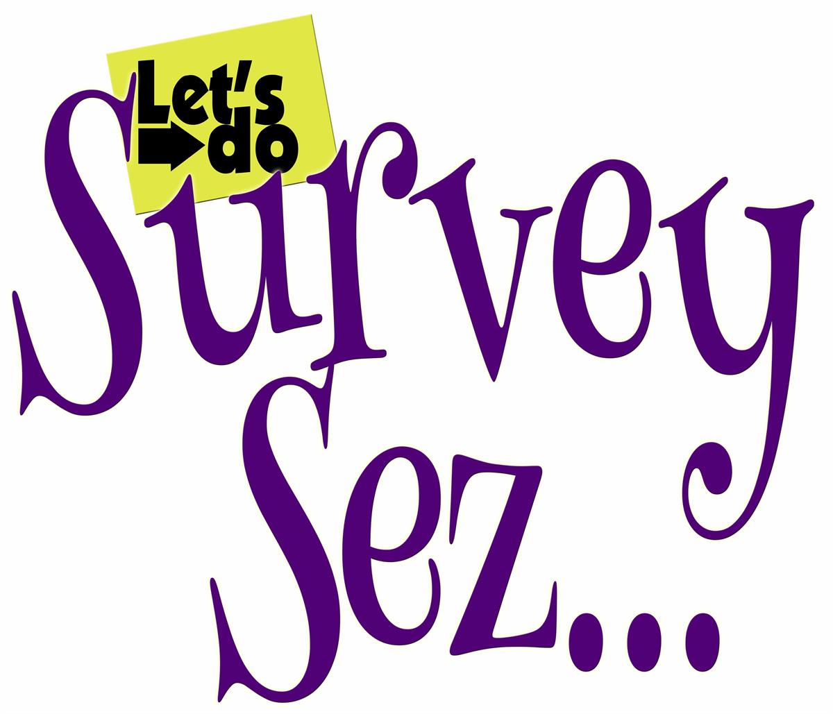 Let #39 s Do Survey Sez at The Fool #39 s Lantern May 16 2025 St