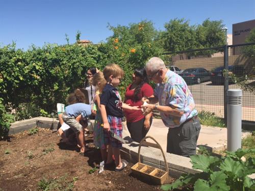 Benevilla Intergenerational Program Gardening
