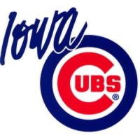 CANCELLED: Des Moines Chapter Event: Industry Night at the Ballgame!