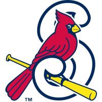 Springfield Chapter Meeting: Night at the Ballpark!