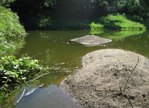 Pre-design pond condition photo. The project involved  developing plans to restore pond capacity and function.