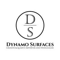 Dynamo Surfaces