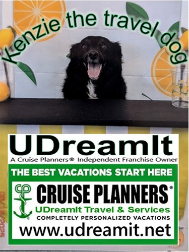 Kenzie the Travel Dog
