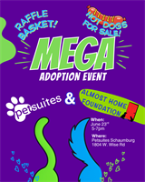Mega Dog Adoption Event