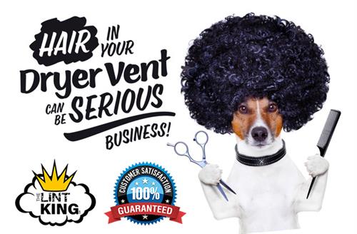 The Lint King's Pet Undercover. This Jack Russell sniffed out lost revenue for your salon or your home's clothes dryer. https://thelintking.com 