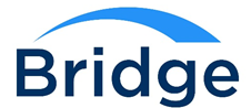 Bridge Personnel Services Corp Bridge Personnel Services Corp