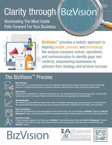 BizVision Process