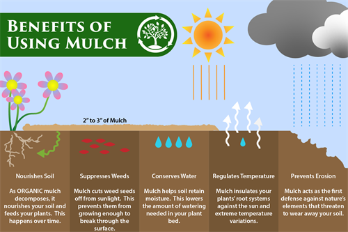 Benefits of Mulch