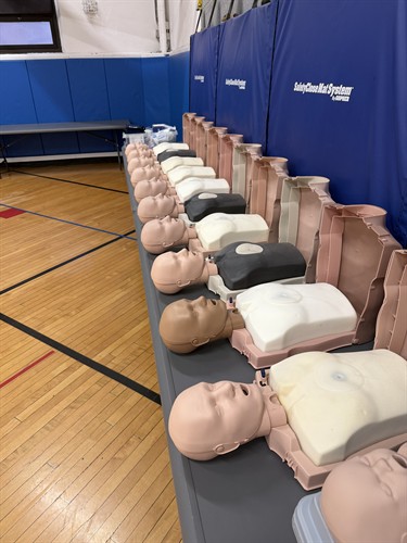 Before each class, brand new lungs are installed. 