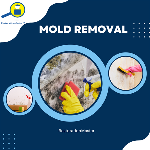 Gallery Image Mold_Removal.png