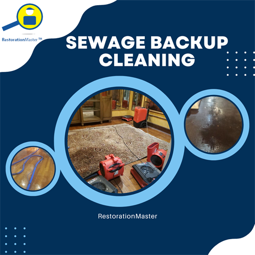 Gallery Image Sewage_Backup_Cleaning.png