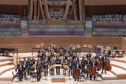 Midwest Chamber Orchestra Performance in Walt Disney Hall, Los Angeles, CA