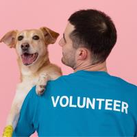 State Service Commissions - Resources for Your Volunteer Program