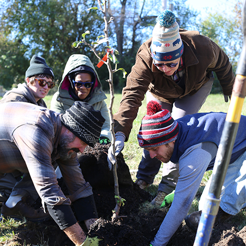 Gallery Image orchard_planting.jpg