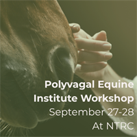 Polyvagal Equine Workshop