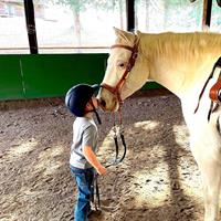 Northland Therapeutic Riding Center - Holt