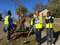 Volunteer with us in the Fall or Spring with our Heartland Tree Alliance program!