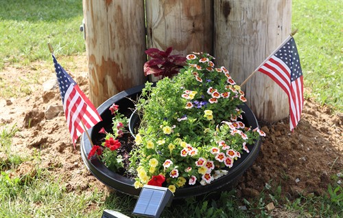 Flowers at Entryway