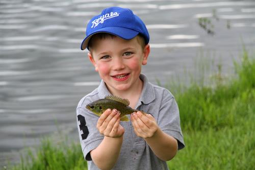 Gallery Image KCP_Kid_and_Sunfish_05102015.jpg