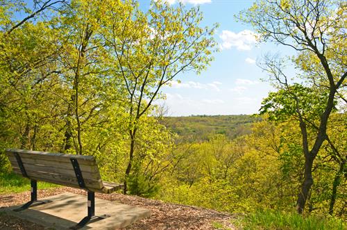 Gallery Image millcreekbench.jpg