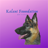 The Kalani Foundation The Kalani Foundation