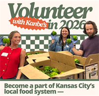 It's the International Year of Volunteers!