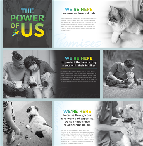 "Culture book" we designed for Compassion-First Pet Hospitals