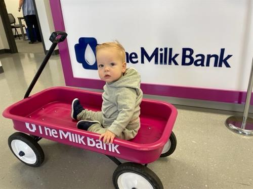 Cooper takes a ride in our wagon, used for delivering donations to the milk lab!