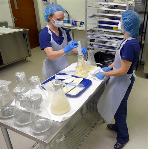 Donor milk is prepared for pasteurization in our milk lab.