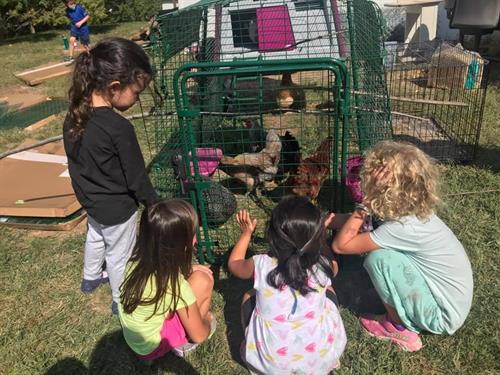 A new home for our chickens!