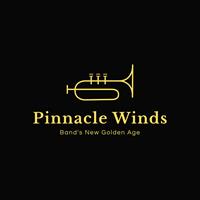 Pinnacle Winds,Inc, - Kansas City