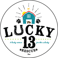 Lucky 13 Rescue