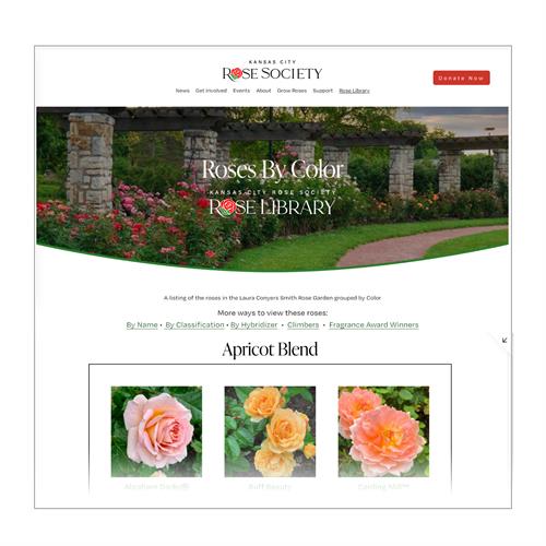 Gallery Image library-by-color.jpg