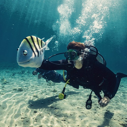 Underwater puppet campaign in the Red Sea with National Geographic