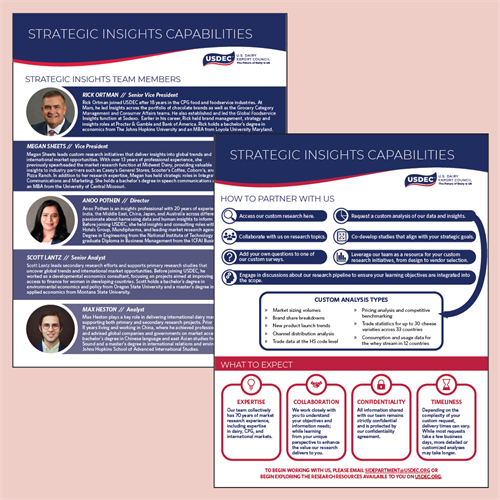 Team Flyer