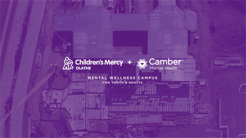 Gallery Image vlcsnap-2026-02-05-13h58m06s362.png