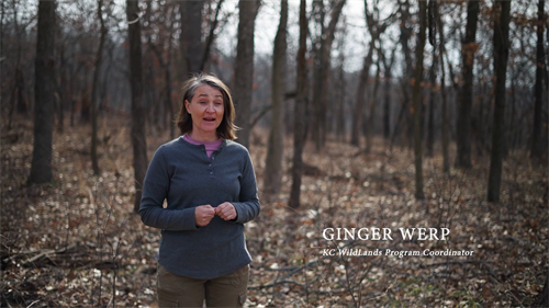 Gallery Image vlcsnap-2026-02-05-13h58m50s223.png