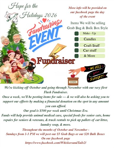 Flash Fundraiser 
