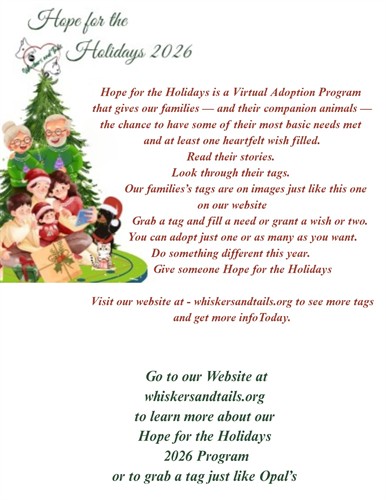 Hope For The Holiday's Description 
