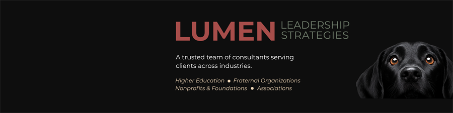 Lumen Leadership Strategies